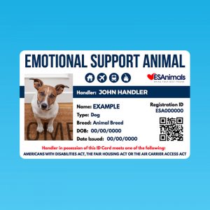 ESA Letters for Emotional Support Animals